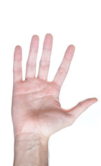Five fingers on a white background