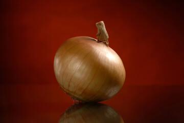 One brown or golden onion on a black and orange background with a reflection on the table