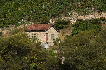 Fototapeta na wymiar Rural house in Canyon del Sil at Santo Estevo in Galicia,Spain,Europe 