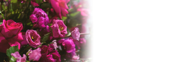 Wedding flower arrangements and decorations. Empty copyspace with white background and space for text. Holiday accessories and backgrounds