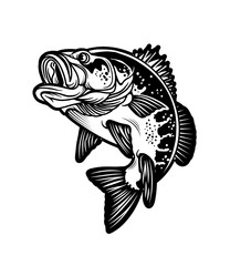 Largemouth Bass Fish. Carnivorous Freshwater Gamefish. Vector Illustration.