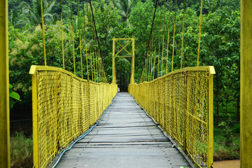 yellow bridge in the forest