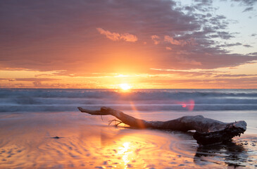 The sun rises over driftwood on Mon Repos Beach on the Queensland coast.