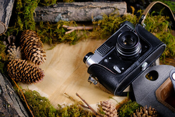 Old camera, fir cones, branches, moss on a wooden texture