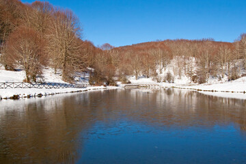 landscape with lake and trees, Laceno, Campania