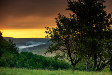 Beautiful summer landscape in Republic of Moldova. Green landscape. Amazing Nature. Park with Green Grass and Trees. Grassy field and rolling hills. rural scenery. Europe nature.