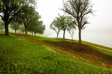 Beautiful summer landscape in Republic of Moldova. Green landscape. Amazing Nature. Park with Green...