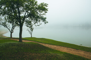Beautiful summer landscape in Republic of Moldova. Green landscape. Amazing Nature. Park with Green...