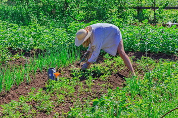 Girl in a hat weeds a garden from weeds on a sunny day