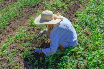 Girl in a hat weeds a garden from weeds on a sunny day