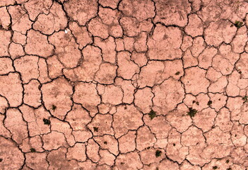 Dry desert brown earth in small cracks