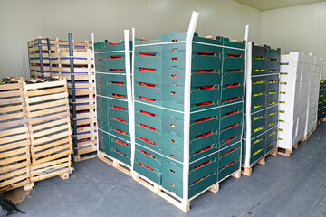 Pallets of Food in Storage