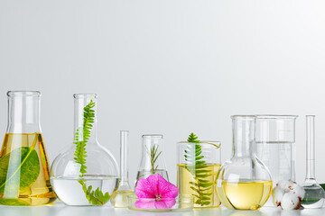 Plants in laboratory glassware. Skincare products and drugs chemical researches concept