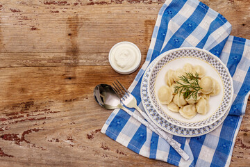 Hot meat dumplings with fresh sour cream. Traditional russian pelmeni, ravioli, greens