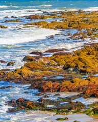 Rock Beach, Punta del Este, Uruguay