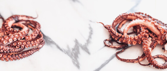 Close up picture of an octopus on a marble table. White space for design or text