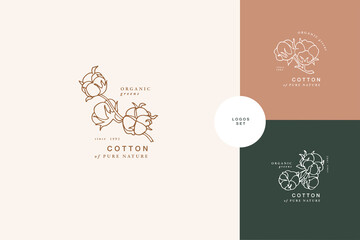Vector illustration cotton branch - vintage engraved style. Logo composition in retro botanical style. - obrazy, fototapety, plakaty