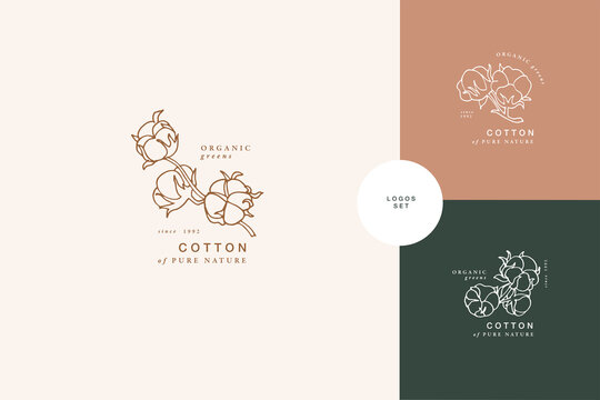 Vector illustration cotton branch - vintage engraved style. Logo composition in retro botanical style.