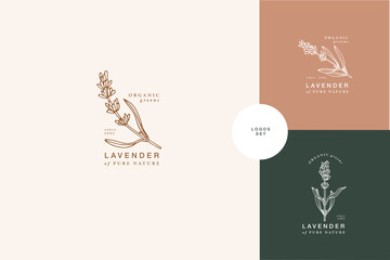 Vector illustration lavender branch - vintage engraved style. Logo composition in retro botanical style. © oxygen_8