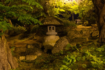 夜景  日本庭園 庭 ライトアップ