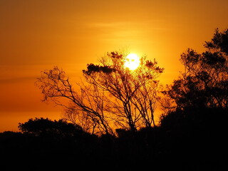 Fototapeta na wymiar Dazzling australian sunset.