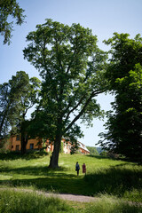 Old house at Bogstadvannet. Bogstad gård, Norway. A popular place to relax in Oslo.
