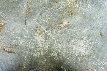 Greenish textured background and old concrete wall, a fragment. Cracks and spots