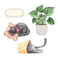 set of cute domestic cats and a potted plant, watercolour illustration on white background