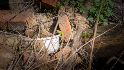 Abandoned village in Russia