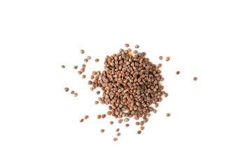 Seeds of radish isolated on white background.