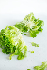  Fresh butter head of green lettuce leaves