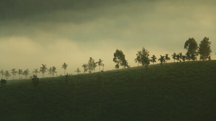 sunrise in the mountains