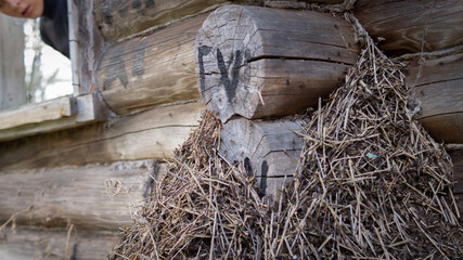 Obraz premium Abandoned village in Russia