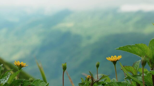 Rainy season, mountains, wide natural scenery at Pha Hua Sing, mountain Thailand