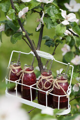 healthy detox beet smoothie in jar in nature