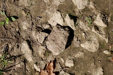 A close view of the rocks in the dirt soil surface.