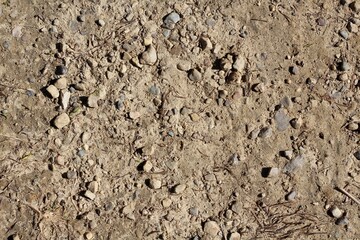 A close view of the dry dirt soil surface.