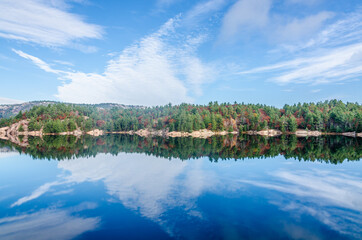 Obraz premium Forest lake