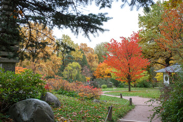 autumn trees with yellow and red leaves, pagoda and tea house in the Japanese garden of the Main Botanical garden of the Russian Academy of Sciences