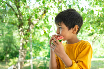 Young boy wearing yellow shirt eats a watermelon  at a picnic in the park