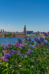 The Stockholm City Hall (Stockholms stadshus). View with Malaren lake from Sodermalm district.