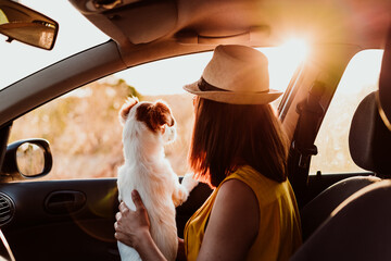 back view of young woman in a car with her dog at sunset. Travel concept