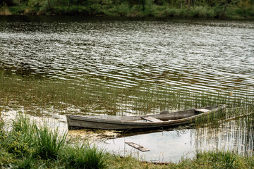 Old sunken wooden boat on lake in thicket of grass