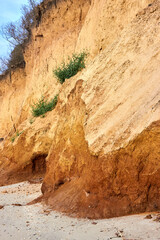 Clay cliff, sandy beach. Coastline of Black Sea