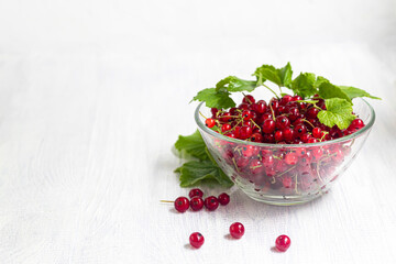 Red currants on a light wooden background. Vitamin cocktail.