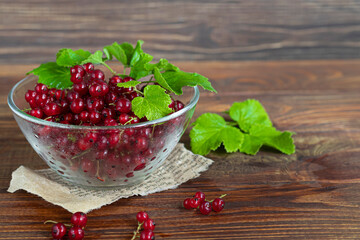 Red currants and green leaves on a dark background. Vitamin cocktail.