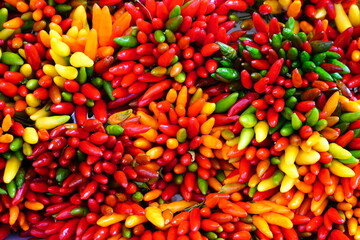 Assorted Peppers at Farmers Market. Spicy chili colourful planting.