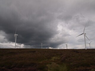 Wind Farm in Scotland