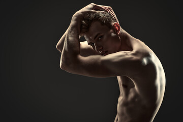 perfect muscular body