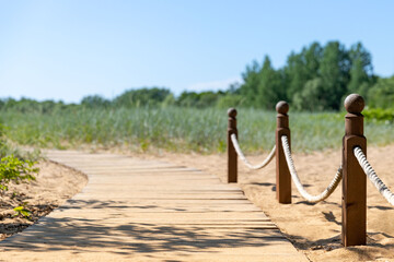 Ecological hiking trail in the national park through sand dunes, beach, sedge thickets and plants, wooden path through protected environment. Wild place in northern Europe. 